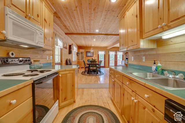 Photo 21 for MLS #2082517 at 4571 Fawn Way