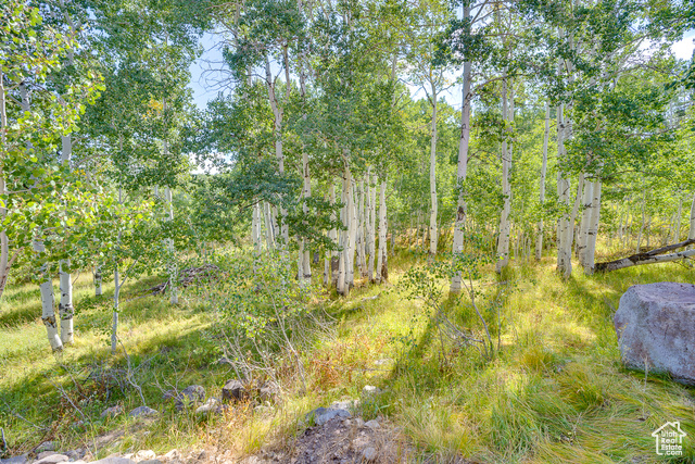 Photo 6 for MLS #2082517 at 4571 Fawn Way