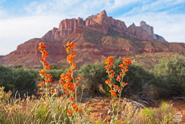 2538  ANASAZI WAY, Springdale UT 84767