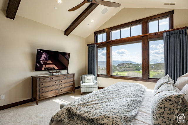 Photo 32 for MLS #2082980 at 787 N Red Ledges Blvd