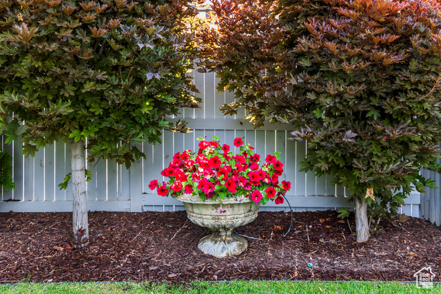 Photo 62 for MLS #2083088 at 11243 S Prosperity Rd