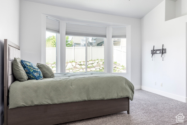 Photo 12 for MLS #2083220 at 3773 750 West