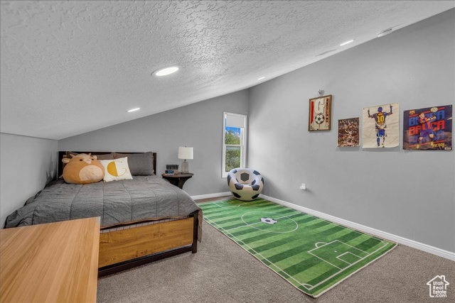 Photo 33 for MLS #2083303 at 10681 S 300 East