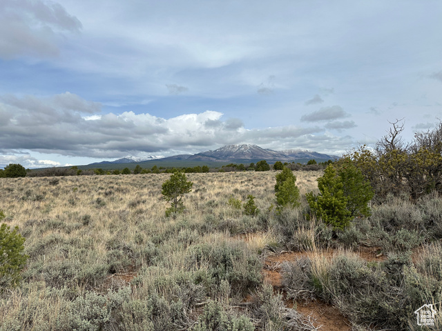 23  BRUSHEY TERRACE RD, Blanding UT 84511