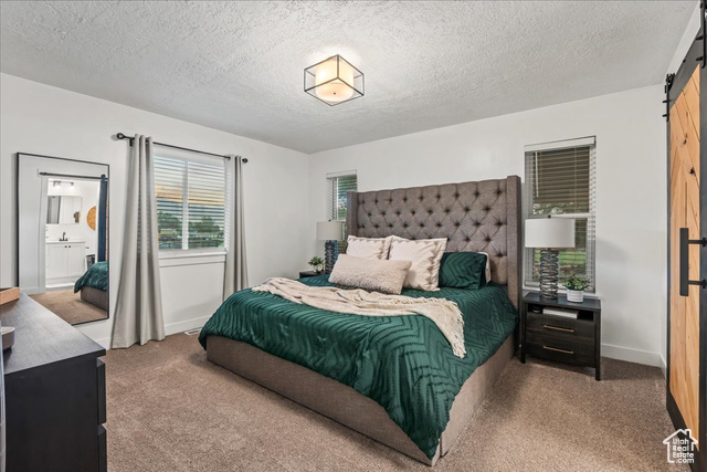 Photo 32 for MLS #2083512 at 278 E Shepard Ln