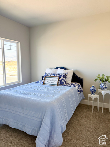 Photo 21 for MLS #2083860 at 3287 S 4950 West