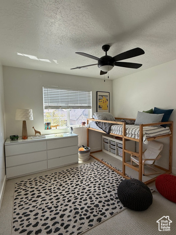 Photo 11 for MLS #2083907 at 4901 N Eagle Nest Ln