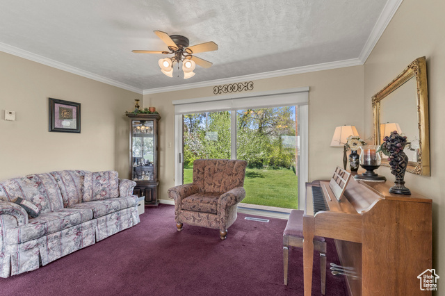Photo 10 for MLS #2084826 at 3647 Maple Creek Rd