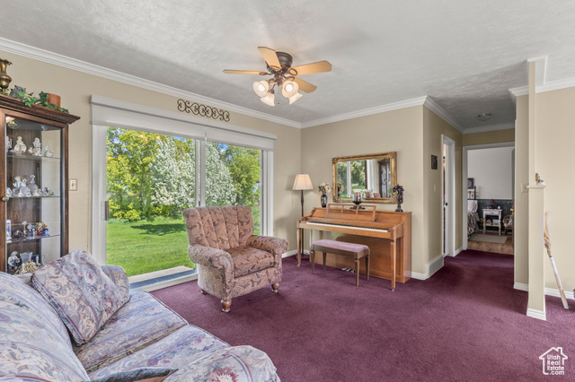 Photo 3 for MLS #2084826 at 3647 Maple Creek Rd