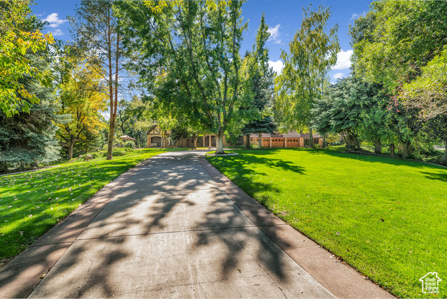 Photo 9 for MLS #2085075 at 305 S Rachel Ln