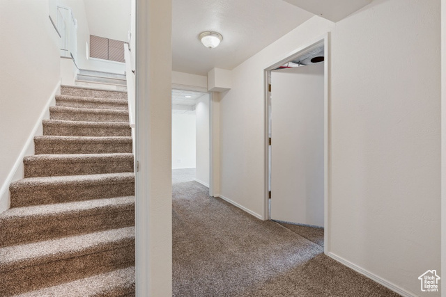 Photo 28 for MLS #2085099 at 10287 S Locksley Rd