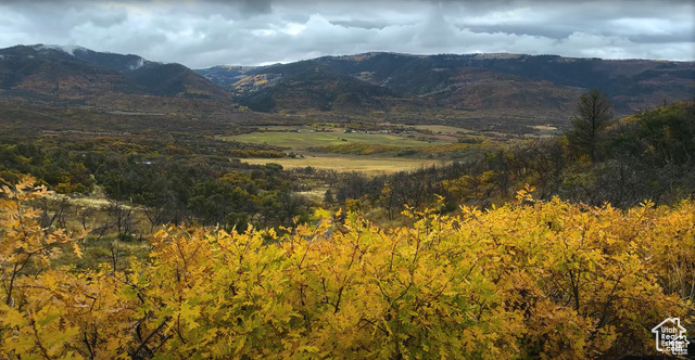 475 E PARADISE RD., Indianola UT 84629