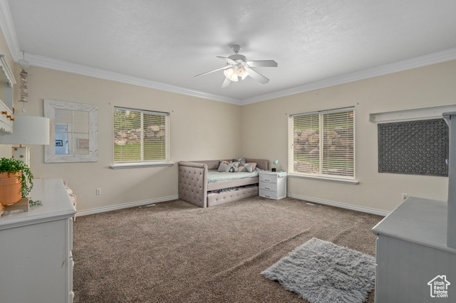 Photo 26 for MLS #2085296 at 65 W Coleys Cove