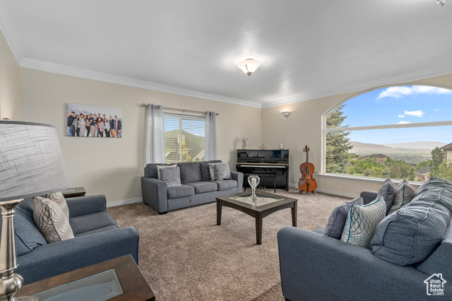 Photo 9 for MLS #2085296 at 65 W Coleys Cove