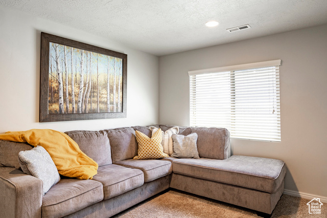 Photo 26 for MLS #2085600 at 375 W Meadow Walk Dr
