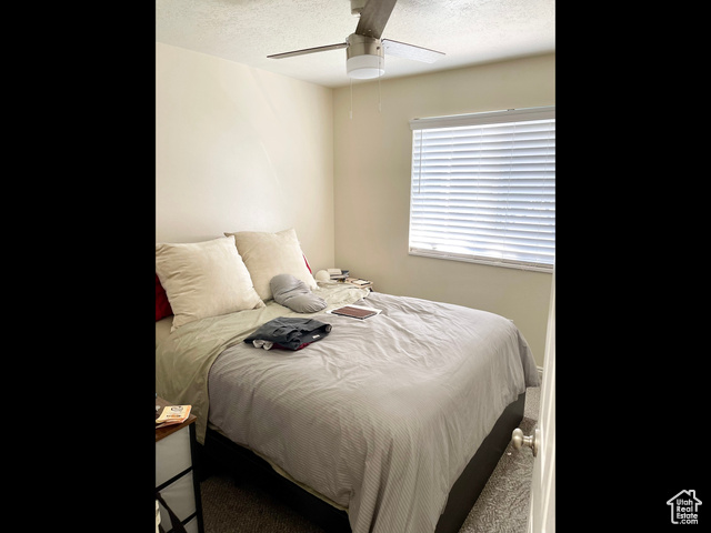 Photo 13 - 595 N 1200 East, Lehi UT 84043