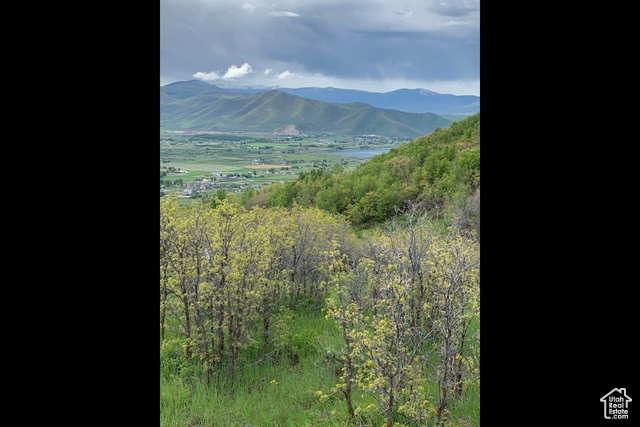 , Midway UT 84049