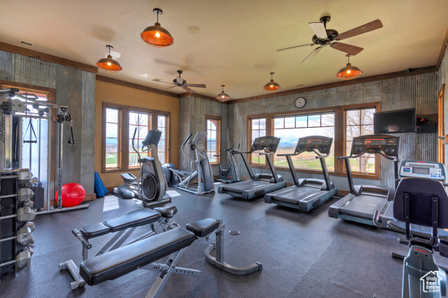 Photo 43 for MLS #2085691 at 57 W Oberland Ct