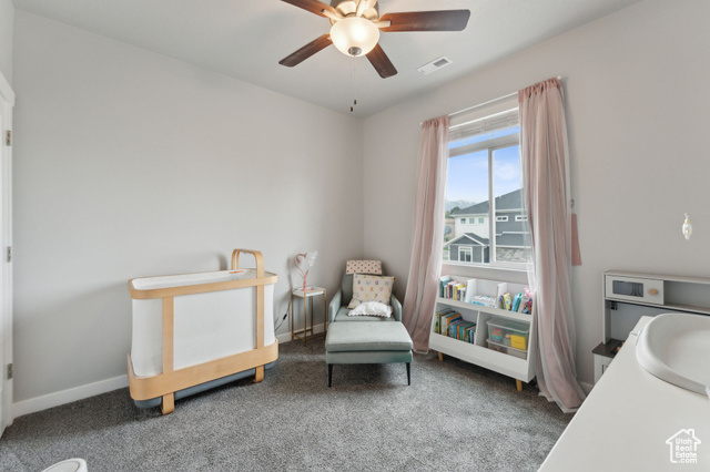 Photo 25 for MLS #2085732 at 4264 S Steele Creek Ct