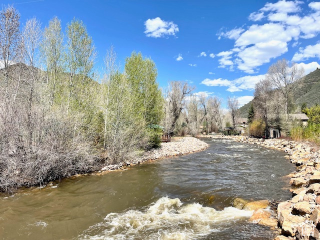 Photo 6 for MLS #2085768 at 1375 Pinion Ln