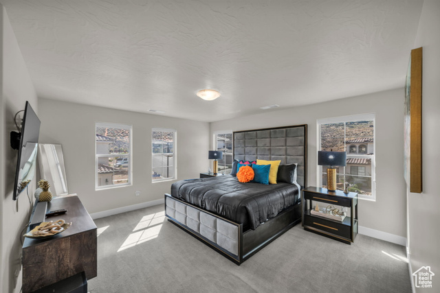 Photo 17 for MLS #2086520 at 1189 N Bello Alley