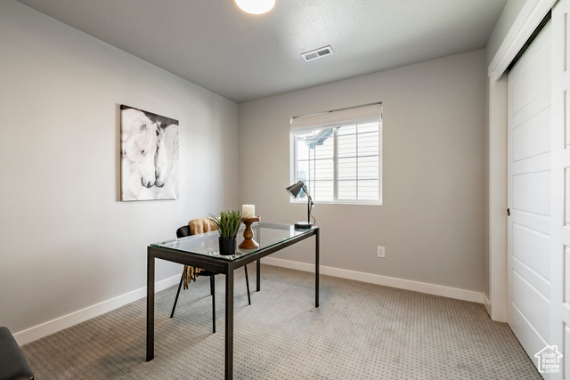 Photo 36 for MLS #2086545 at 1383 Snowberry Cir