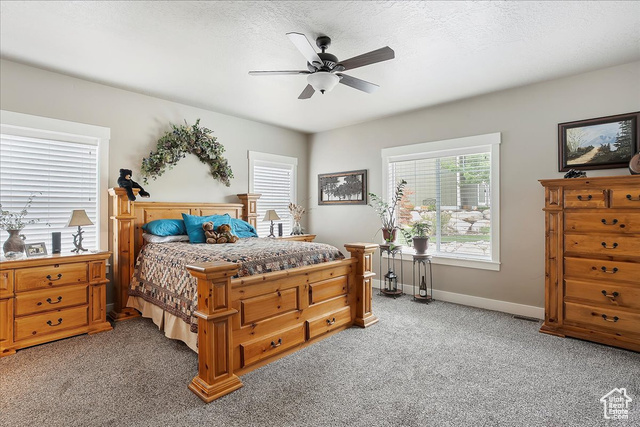Photo 19 for MLS #2086716 at 4548 N Sheep Creek Dr