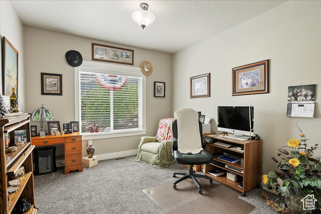 Photo 18 for MLS #2086716 at 4548 N Sheep Creek Dr