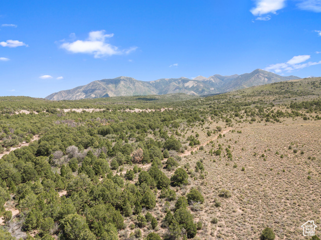 Photo 61 for MLS #2087124 at 12343 Sand Flats Rd