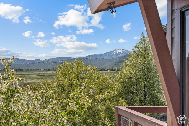 Photo 37 for MLS #2087214 at 6322 N Park Ln #3