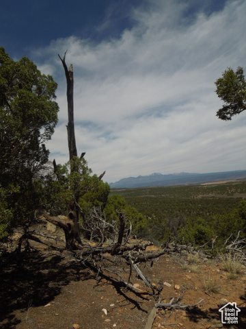 13  SUNRISE COUNTRY RD, Monticello UT 84535
