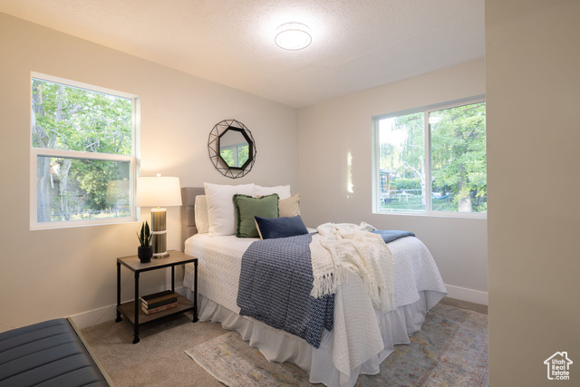 Photo 17 for MLS #2087285 at 21 E 8680 South