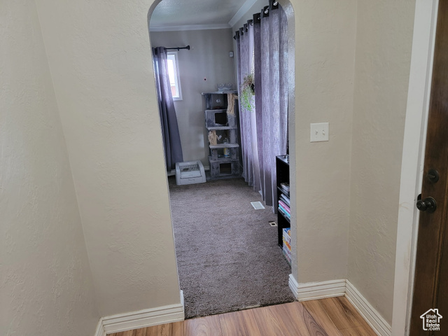 Photo 9 for MLS #2087472 at 853 E 27th St