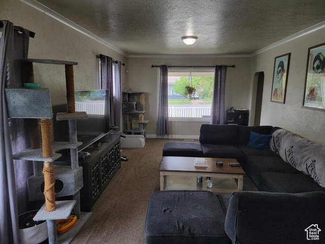 Photo 10 for MLS #2087472 at 853 E 27th St