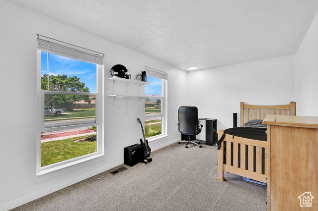 Photo 19 - 2195 W 4250 South, Roy UT 84067