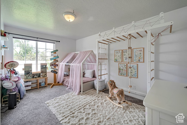 Photo 12 for MLS #2087666 at 267 W Noah Cir