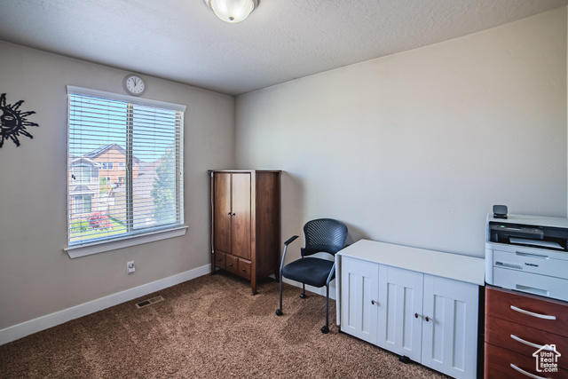Photo 23 for MLS #2087815 at 3907 W Tottori Dune Dr