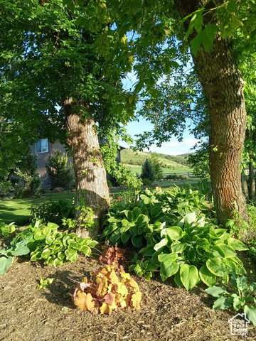 Photo 4 for MLS #2087816 at 4633 E Glendale Rd