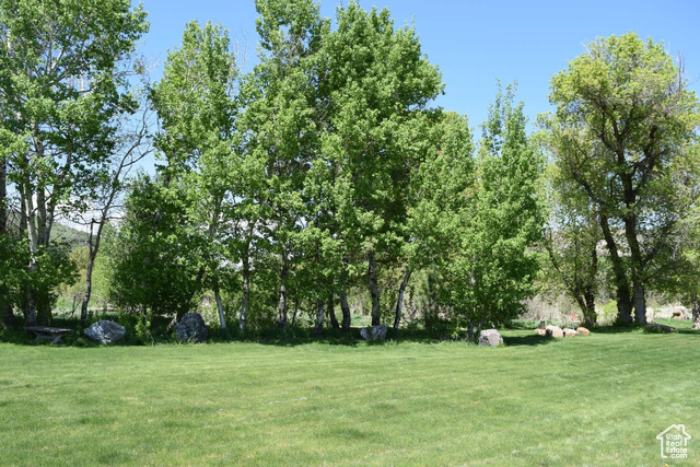 Photo 7 for MLS #2087816 at 4633 E Glendale Rd