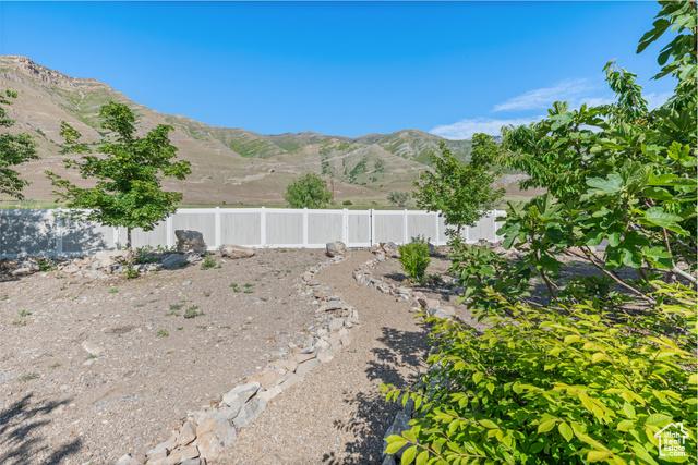 Photo 49 for MLS #2087859 at 8640 N Iron Horse Dr