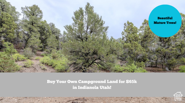 292 E HIGHWAY 89, Indianola UT 84629