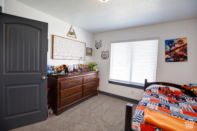 Photo 19 - 343 W Deer Creek Trail, Salem UT 84653