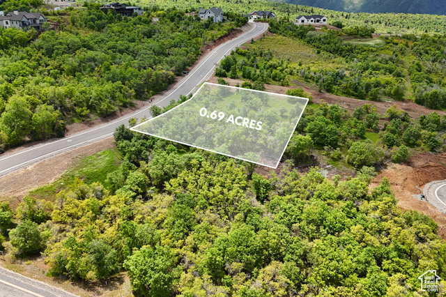 1025 BEAR HOLLOW DR, Woodland Hills UT 84653