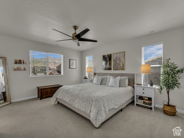 Photo 16 for MLS #2088350 at 6352 N Canter Dr