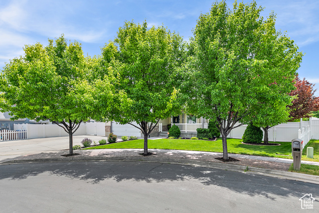 Photo 4 for MLS #2088705 at 137 Stern Ct
