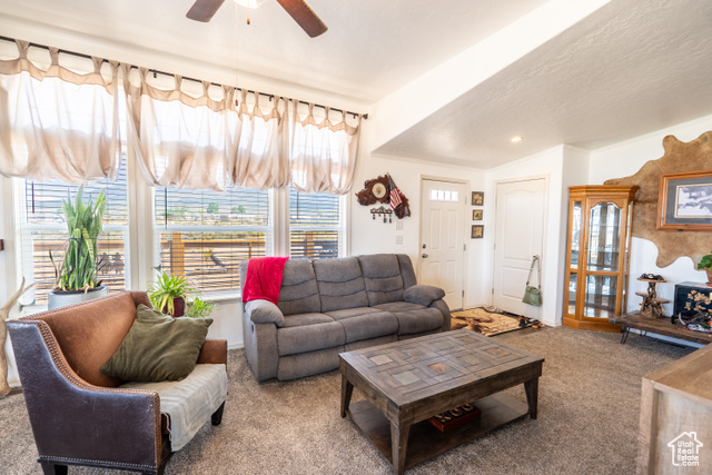 Photo 19 for MLS #2088707 at 16 E Pearly Ln