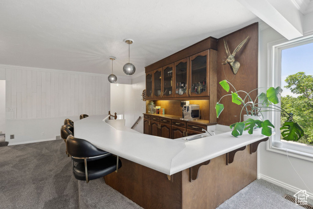 Photo 45 for MLS #2088715 at 4484 S Parkview Dr