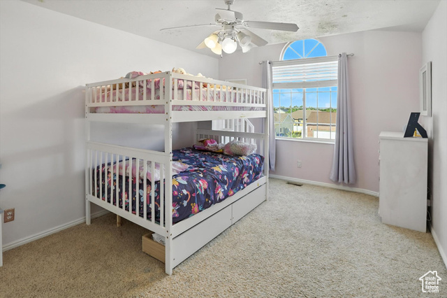 Photo 18 for MLS #2088740 at 2223 S Allison Way