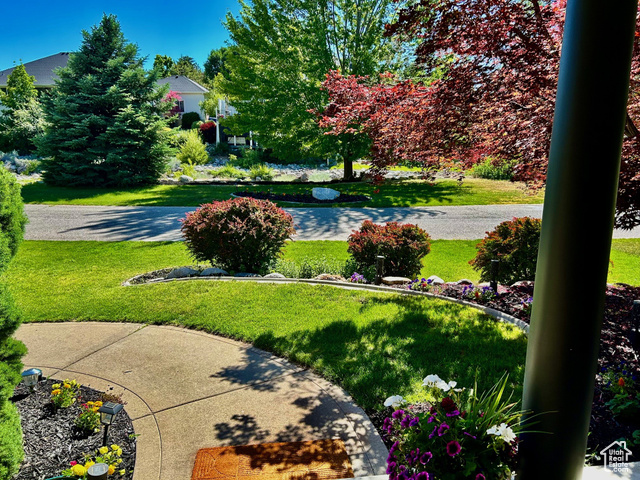 8697 Willow Green Cir