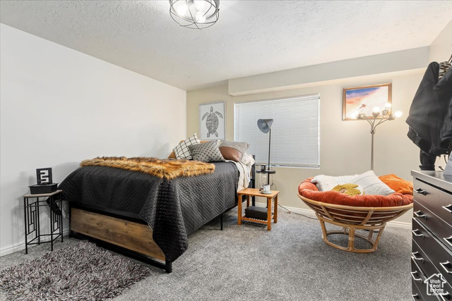 8697 Willow Green Cir